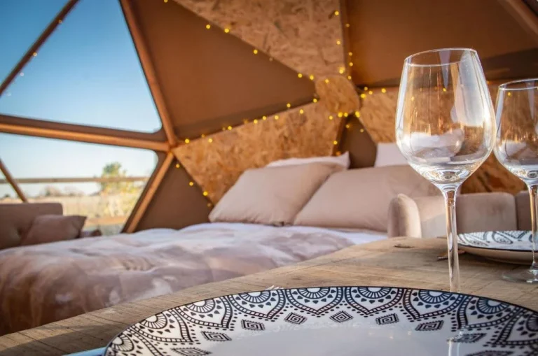 La Réserve Bagherra nuit insolite — 33920 Saint-Girons-Dʼaiguevives